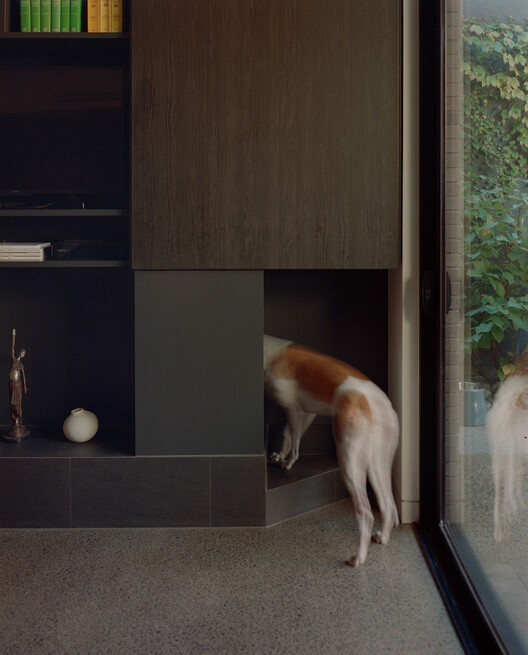 Burnley House / Sonelo Architects - Interior Photography