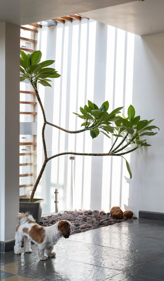 The Blooming Haus / Studio WhiteScape - Interior Photography, Lighting