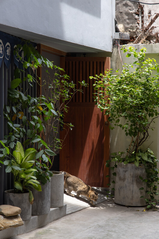 Loli House / t + m design office - Interior Photography, Wood, Concrete, Courtyard