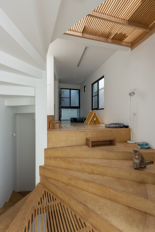 Loli House / t + m design office - Interior Photography, Wood, Stairs, Handrail