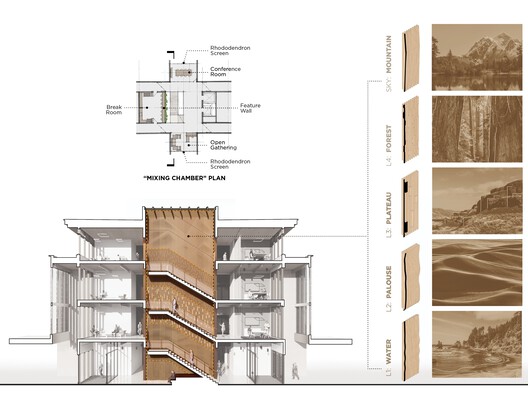 Newhouse Building Replacement / Miller Hull Partnership - Image 38 of 41