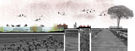Enveloping the Salt Marsh: Landscape Itinerary Around the Odiel Northern Estuary / Estudio Acta Enveloping the Salt Marsh: Landscape Itinerary Around the Odiel Northern Estuary / Estudio Acta - Image 20 of 30