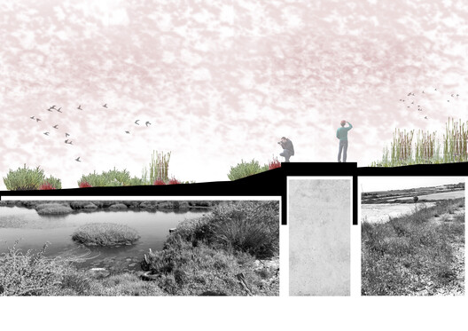 Enveloping the Salt Marsh: Landscape Itinerary Around the Odiel Northern Estuary / Estudio Acta Enveloping the Salt Marsh: Landscape Itinerary Around the Odiel Northern Estuary / Estudio Acta - Image 22 of 30