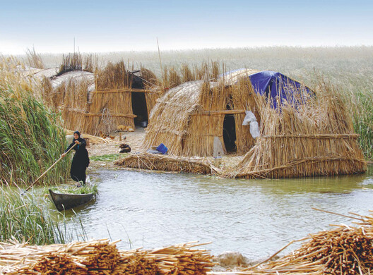 On International Mother Earth Day: Urban Rewilding, Aquatic Ecosystems, and Ancestral Practices for Biodiversity - Image 9 of 11