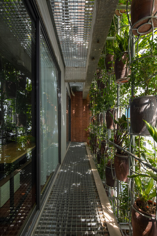 Flying Vegetation / H&P Architects - Exterior Photography