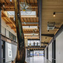 West Canal Yards / Graham Baba Architects - Commercial Architecture