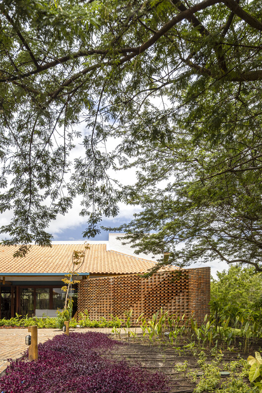 Casa Chamego / Pablo Patriota Arquitetos Associados - Exterior Photography, Garden