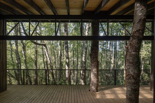 Above Water, Slope, and Forest: Elevated Architecture in Latin America - Image 8 of 17