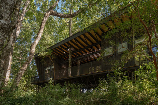Above Water, Slope, and Forest: Elevated Architecture in Latin America - Image 14 of 17