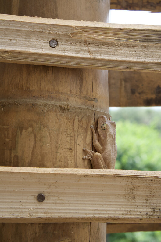 Clay House / Norenaarquitectos Clay House / Norenaarquitectos - Interior Photography, Wood