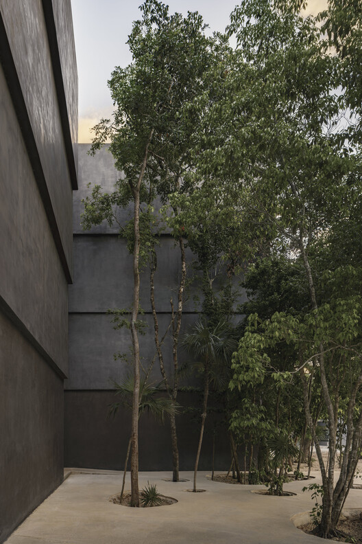 Casa Selva - Housing for Hospitality Workers / anonimous + g3arquitectos + Jesús Vassallo Casa Selva - Housing for Hospitality Workers / anonimous + g3arquitectos + Jesús Vassallo - Image 36 of 47