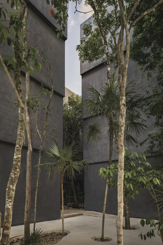 Casa Selva - Housing for Hospitality Workers / anonimous + g3arquitectos + Jesús Vassallo Casa Selva - Housing for Hospitality Workers / anonimous + g3arquitectos + Jesús Vassallo - Image 30 of 47