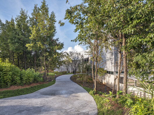 Care and Wellness Center for the Elderly and Disabled  / sol89 - Image 16 of 25