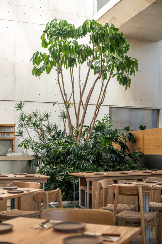 Nube 7 Cafe / Luis Carbonell - Interior Photography