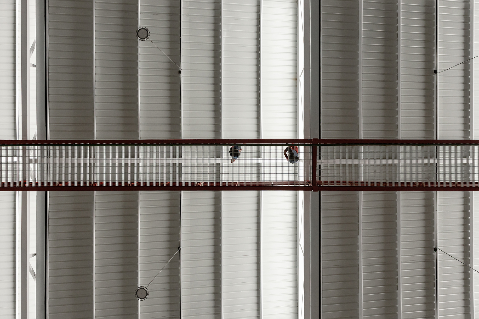 PARAISO / TEC Taller EC
