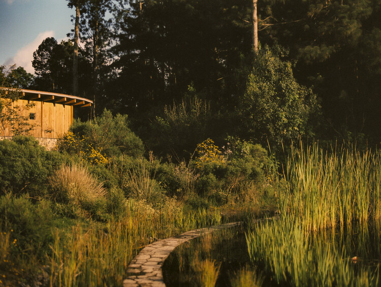 Reading the Territory: The Landscapes of Estudio Ome - Featured Image