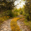 Reading the Territory: The Landscapes of Estudio Ome - Image 1 of 4