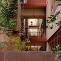 9 Wilson Ave Apartment / MA+Co  + Neometro - Apartments