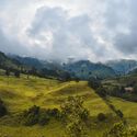Building Autonomy: Latin American Communities Bringing Life’s Systems Into Architecture - Imagen 1 de 4