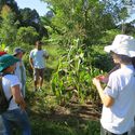 Building Autonomy: Latin American Communities Bringing Life’s Systems Into Architecture - Imagen 2 de 4
