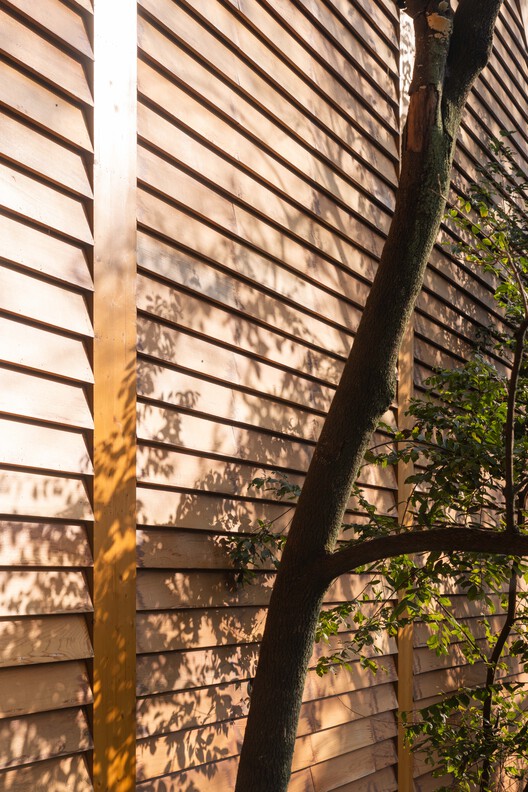 Carpenter's Home / Primary Architects Carpenter's Home / Primary Architects - Image 25 of 37