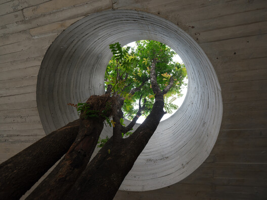 Voiceless Coffee · Sensory Lab / No10-Architects - Image 11 of 35