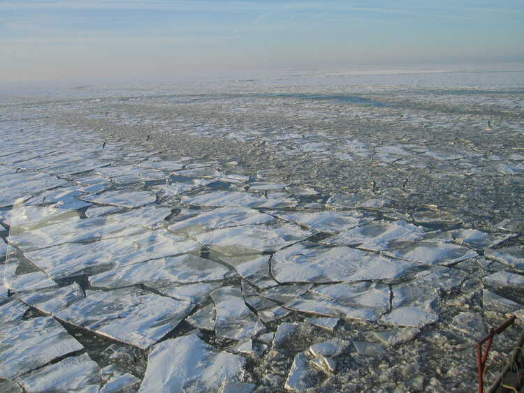 Atelier Bow-Wow and Climate Scientists Honored with 2026 Daylight Award on UNESCO International Day of Light - Image 6 of 21