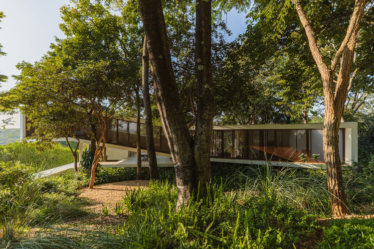 Casa Ascendente / TETRO Arquitetura - Fotografía exterior, Jardín