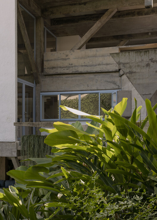 Residencia Azul / Estúdio Orth + Julieta Fialho Paisagismo - Fotografía interior