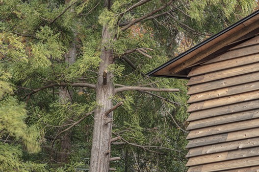 MIZU NO IE - Izu Diving Retreat / NASCA MIZU NO IE - Izu Diving Retreat / NASCA - Exterior Photography, Wood, Forest
