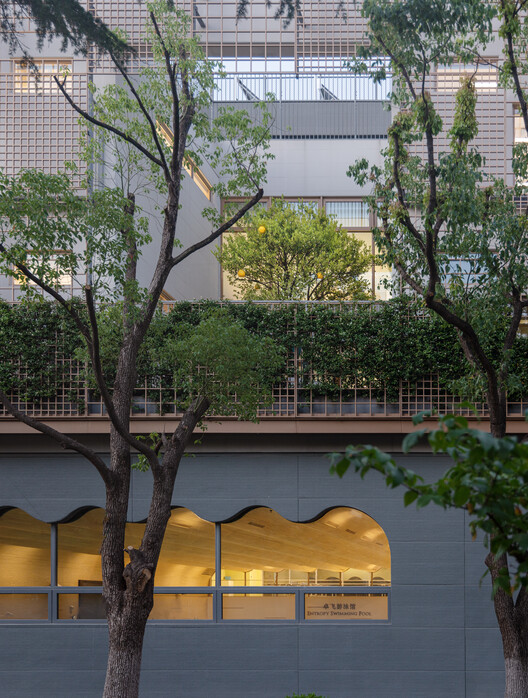 Anna Pao Sohmen Centre at YK Pao School / Scenic Architecture Office Anna Pao Sohmen Centre at YK Pao School / Scenic Architecture Office - Image 17 of 53
