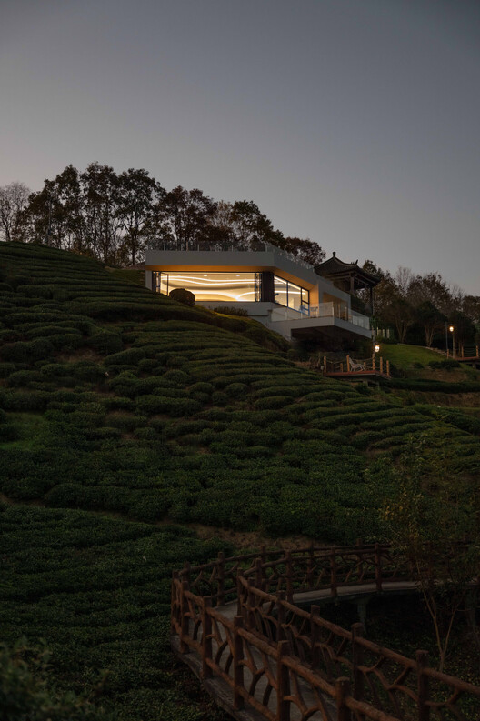 西茶谷茶咖：消隐于茶田的观景容器 / 江苏省院安徽分院 - 建筑图, 花园