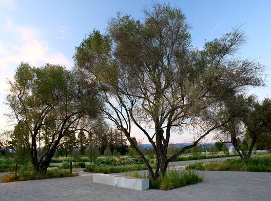 Robert Mondavi Winery Transformation / Aidlin Darlin Design Robert Mondavi Winery Transformation / Aidlin Darlin Design - Image 33 of 43