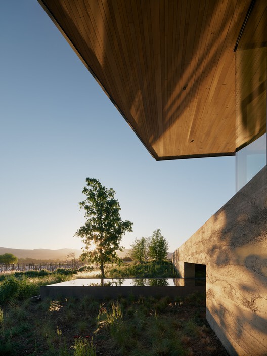 Robert Mondavi Winery Transformation / Aidlin Darlin Design Robert Mondavi Winery Transformation / Aidlin Darlin Design - Image 12 of 43