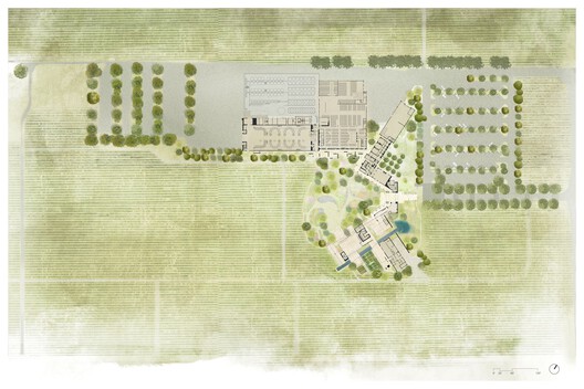 Robert Mondavi Winery Transformation / Aidlin Darlin Design Robert Mondavi Winery Transformation / Aidlin Darlin Design - Image 41 of 43