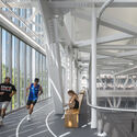Hiwa - The University of Auckland Recreation Centre  / Warren and Mahoney - Interior Photography, University, Beam
