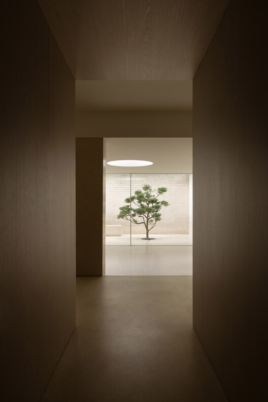 Fairlie Wellness Centre / Wood Marsh Fairlie Wellness Centre / Wood Marsh - Interior Photography
