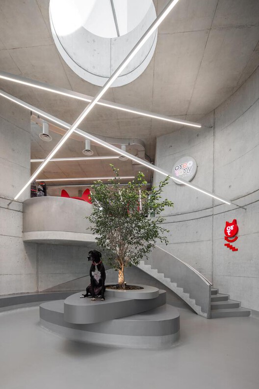 Animal Care: 8 Veterinary Hospitals Redefining Architecture for Health and Emotion Animal Care: 8 Veterinary Hospitals Redefining Architecture for Health and Emotion - Image 10 of 23