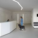 Animal Care: 8 Veterinary Hospitals Redefining Architecture for Health and Emotion - Image 4 of 4