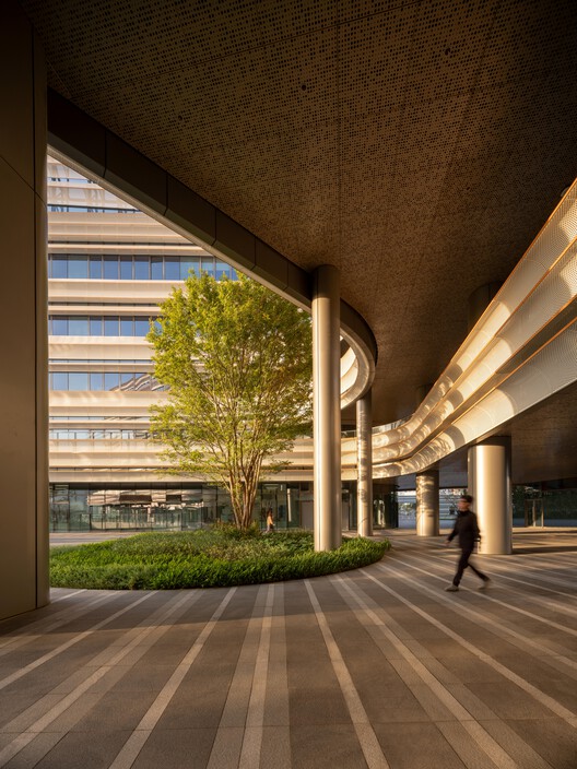 Shenzhen Mingwan School / Perkins&Will - Interior Photography, Column