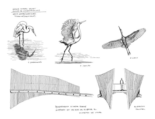 Architecture Inspired by Birds: Fundación Cosmos and the Wetland Parks of Chile Architecture Inspired by Birds: Fundación Cosmos and the Wetland Parks of Chile - Image 24 of 25