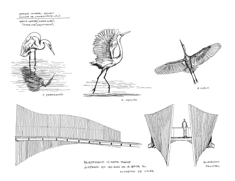 Architecture Inspired by Birds: Fundación Cosmos and the Wetland Parks of Chile - Image 24 of 25