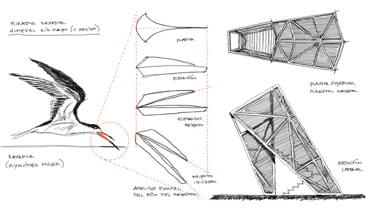 Architecture Inspired by Birds: Fundación Cosmos and the Wetland Parks of Chile - Image 25 of 25