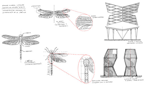 Architecture Inspired by Birds: Fundación Cosmos and the Wetland Parks of Chile Architecture Inspired by Birds: Fundación Cosmos and the Wetland Parks of Chile - Image 23 of 25