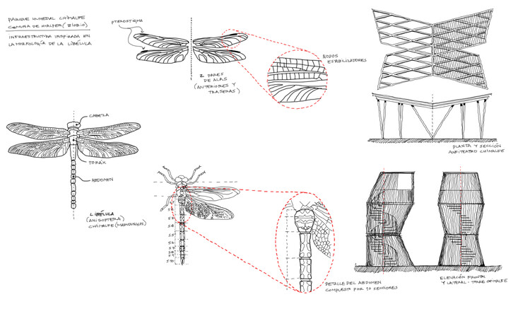 Architecture Inspired by Birds: Fundación Cosmos and the Wetland Parks of Chile - Image 23 of 25