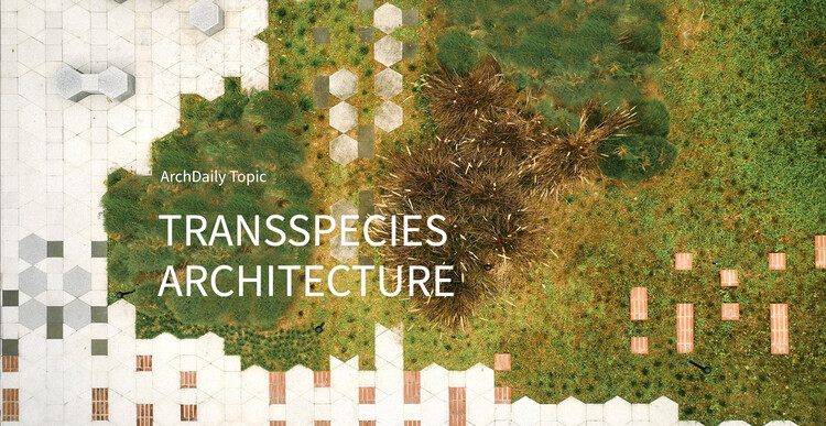 Transspecies Architecture: ArchDaily’s June Editorial Focus - Featured Image