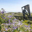Architecture Inspired by Birds: Fundación Cosmos and the Wetland Parks of Chile - Image 4 of 4