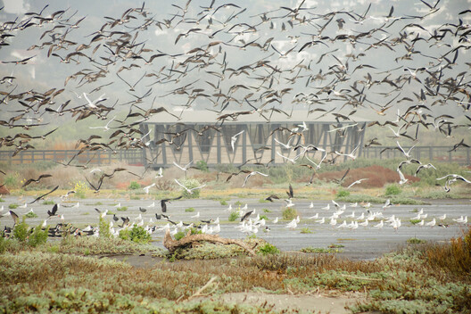 Architecture Inspired by Birds: Fundación Cosmos and the Wetland Parks of Chile Architecture Inspired by Birds: Fundación Cosmos and the Wetland Parks of Chile - Image 7 of 25