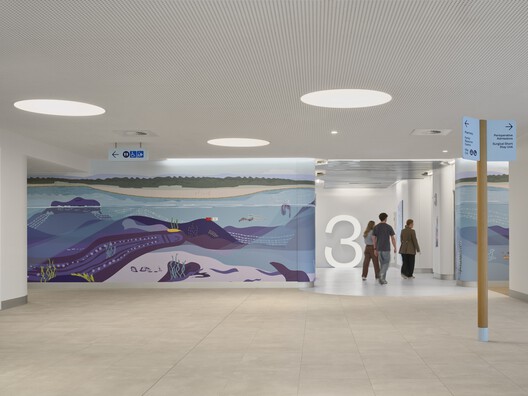 Children’s Hospital at Westmead / Billard Leece Partnership - Interior Photography