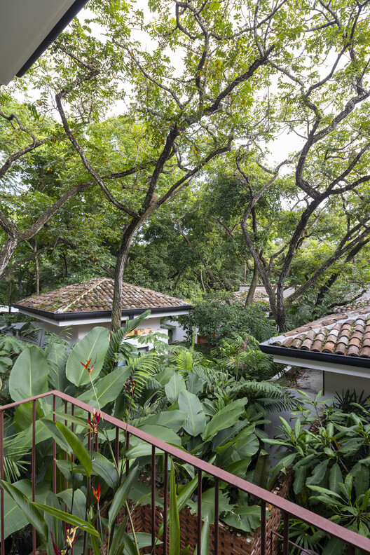 Sendero Villas / LOOP Design Studio - Fotografía exterior, Jardín